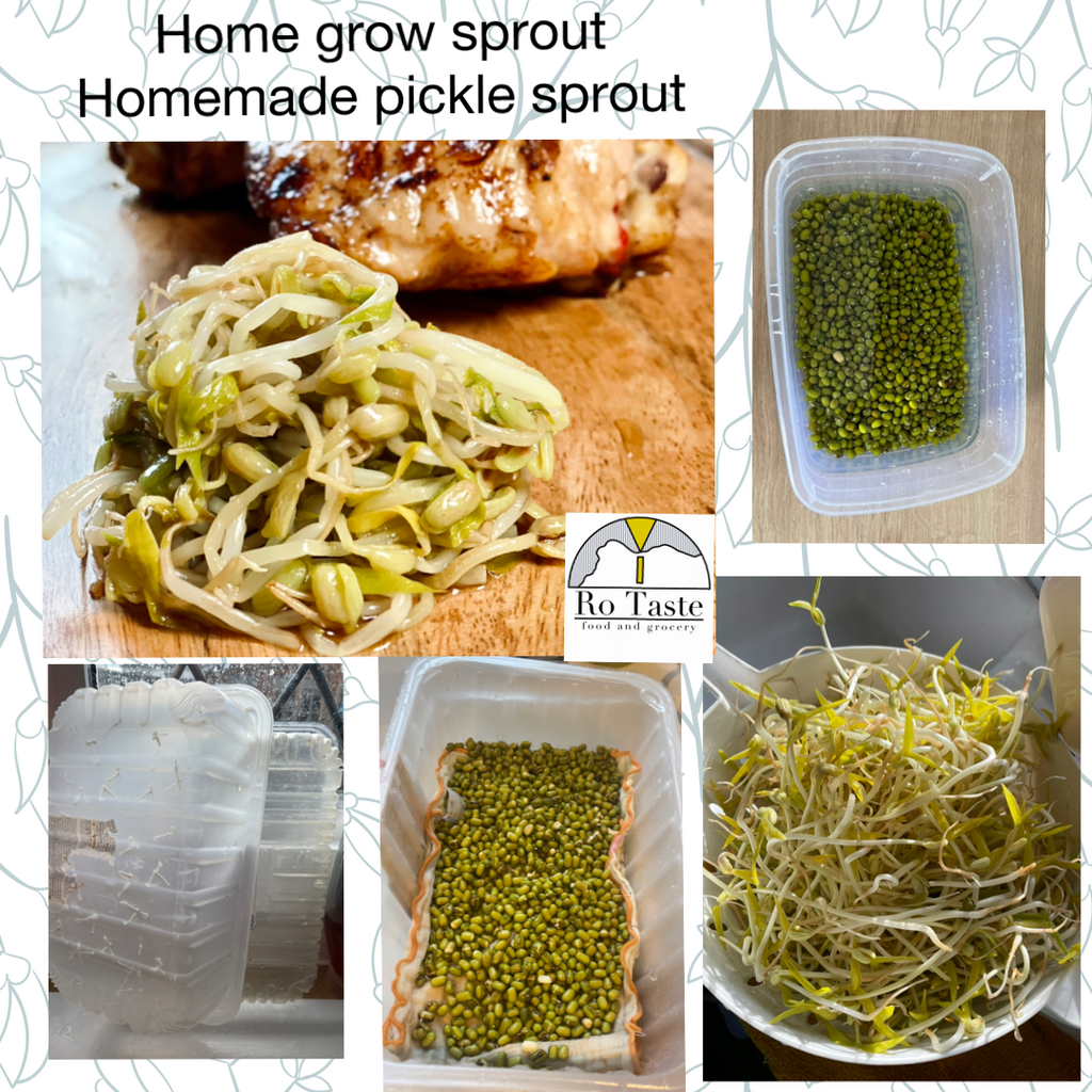 Growing sprout at home, making your own pickle sprouts!